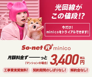 So-net 光(minico)